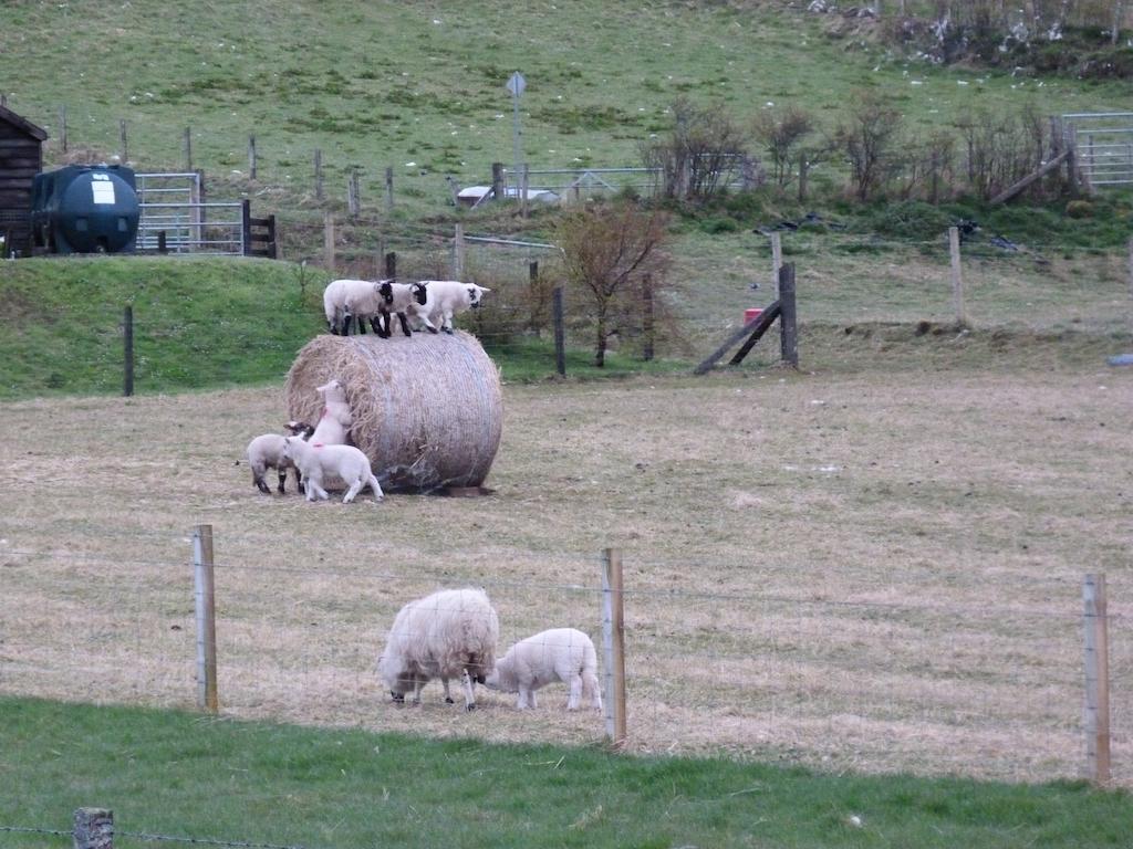 Gairloch View Bed & Breakfast Digg Rum bild